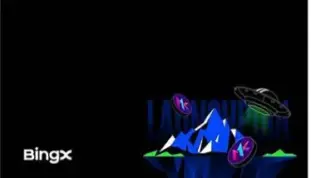 BingX
