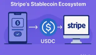 Stripe’s Stablecoin Ecosystem