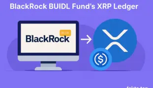 XRP Ledger's Institutional Edge