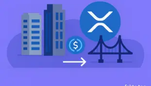 The Core Requirement: Settlement Speed and Compliant Infrastructure